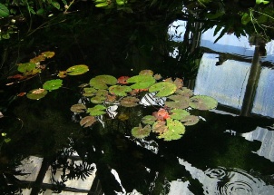 mi7h1ye2q5_exkurze-do-botanicke-zahrady-v-praze-27-4-2012_1