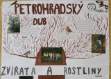 06-01-2019-pamatny-strom-petrohradsky-dub_1.jpg