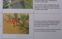 botanicka-soutez_10.jpg