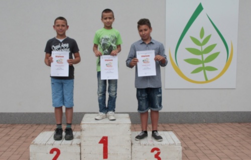 1rj6ilyeq7_atletika-i-st-2016_1