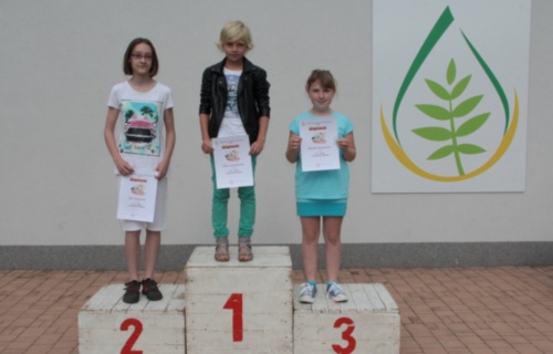 1rj6ilyeq7_atletika-i-st-2016_1