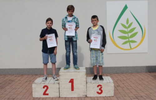 1rj6ilyeq7_atletika-i-st-2016_1