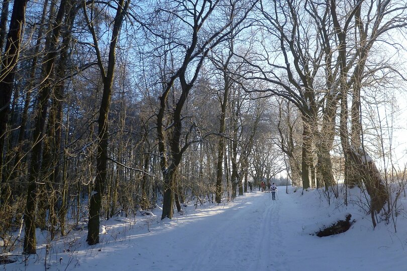 19-01-2017-bezky-osma-trida_9.jpg