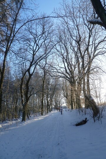 19-01-2017-bezky-osma-trida_8.jpg