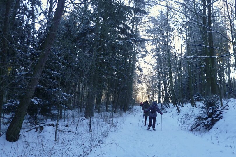 19-01-2017-bezky-osma-trida_5.jpg