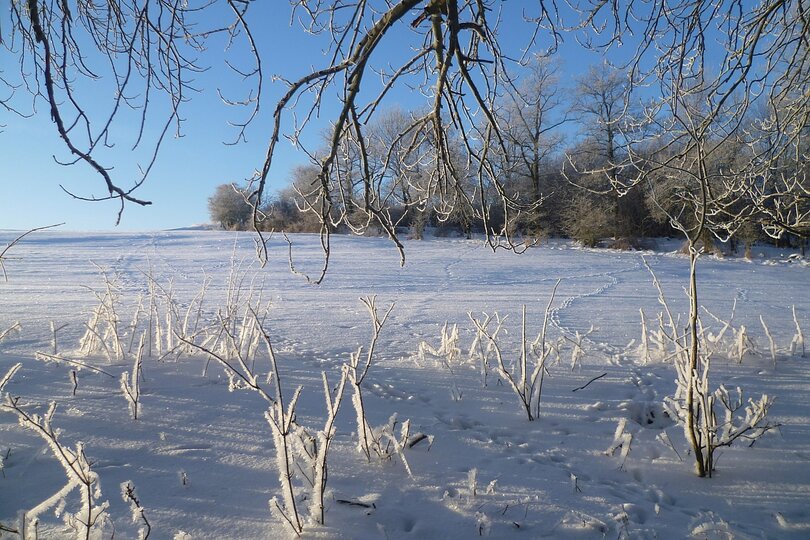 19-01-2017-bezky-osma-trida_12.jpg