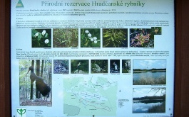 vylet-mladych-ekologu-do-chko-kokorinsko-25-5-2012_2.jpg