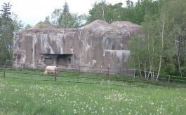 usva8bc0nu_06-06-2017-dejepisna-exkurze-dobrosov-osvetim_1
