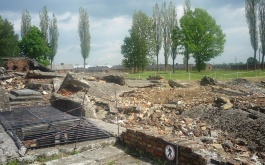 usva8bc0nu_06-06-2017-dejepisna-exkurze-dobrosov-osvetim_1