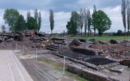 usva8bc0nu_06-06-2017-dejepisna-exkurze-dobrosov-osvetim_1