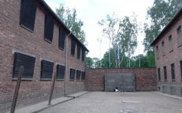 usva8bc0nu_06-06-2017-dejepisna-exkurze-dobrosov-osvetim_1