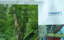 vlasim-ekologicko-prirodovedny-program-puvod-a-promeny-krajiny-v-ramci-expedice-4p-7-tr-10-5-2012_15.jpg