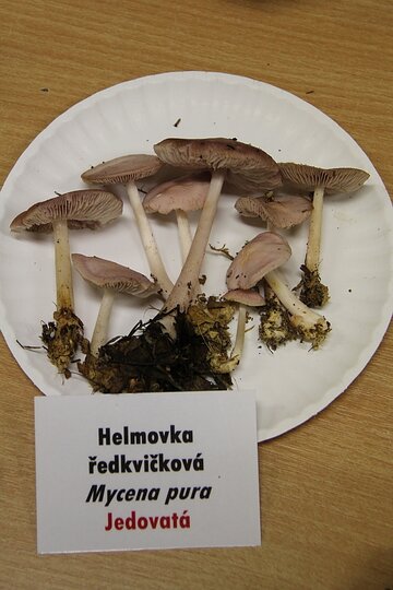 12-10-2017-vystava-hub-2017_8.jpg