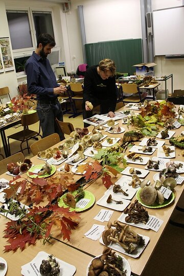 12-10-2017-vystava-hub-2017_16.jpg