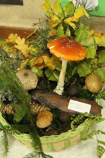 12-10-2017-vystava-hub-2017_15.jpg