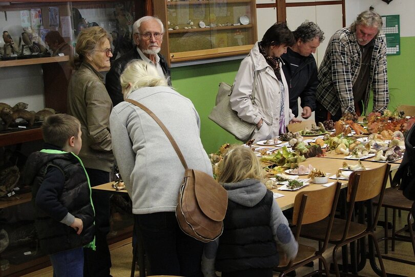12-10-2017-vystava-hub-2017_50.jpg