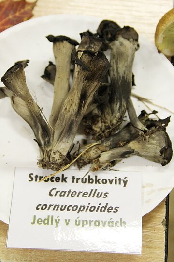 12-10-2017-vystava-hub-2017_3.jpg