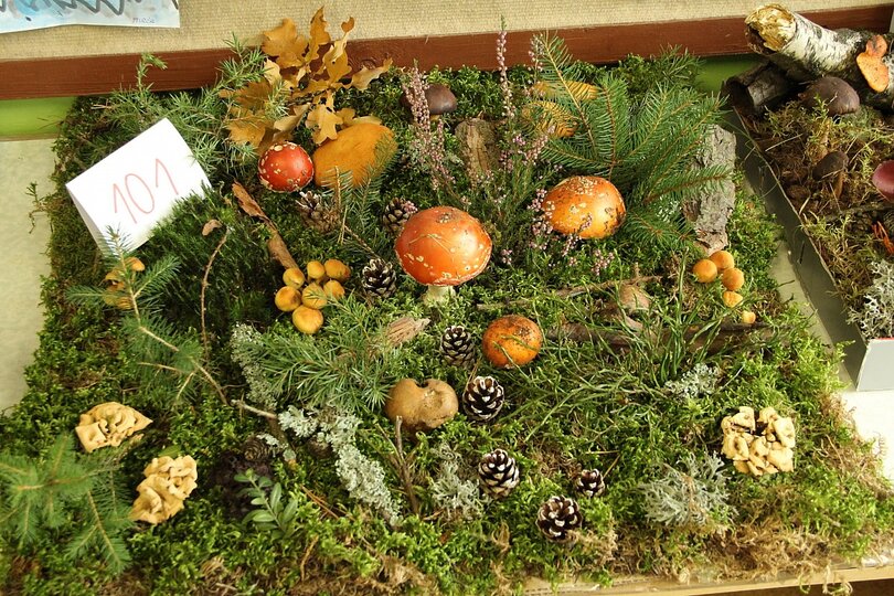 12-10-2017-vystava-hub-2017_36.jpg
