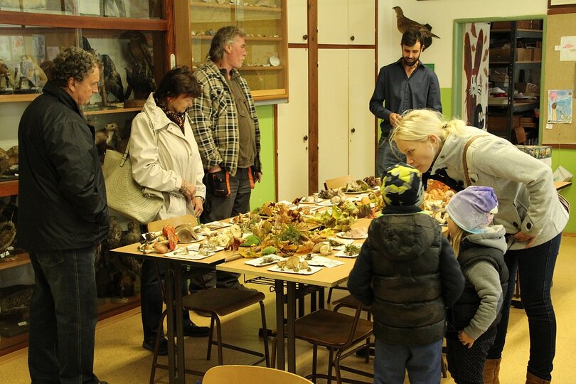 12-10-2017-vystava-hub-2017_48.jpg