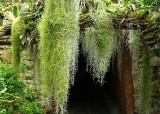 exkurze-do-botanicke-zahrady-v-praze-27-4-2012_15.jpg