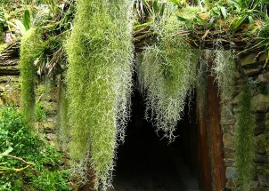 mi7h1ye2q5_exkurze-do-botanicke-zahrady-v-praze-27-4-2012_1