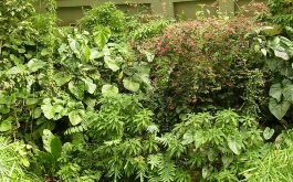 exkurze-do-botanicke-zahrady-v-praze-27-4-2012_3.jpg