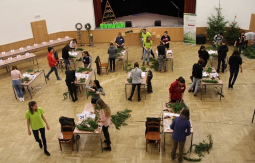 c6j8eybe05_14-12-2017-soutez-v-aranzovani-2017_14