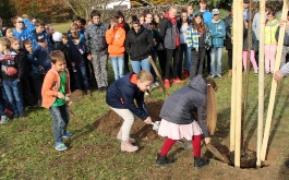 4corjvd76c_04-11-2018-lipa-republiky_1