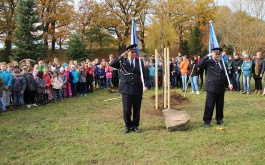 4corjvd76c_04-11-2018-lipa-republiky_1