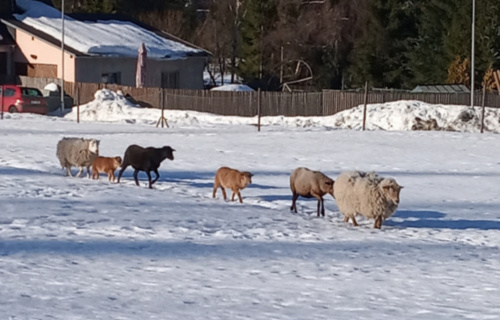 f2croiape7_17-02-2019-lyzarsky-vycvik-2019_1