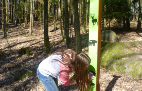 gl7wx4ytr0_25-03-2019-zulova-stezka-2019_1