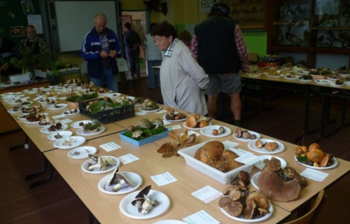 48tdylkcla_vystava-hub-ve-skole-20-21-9-2011_1