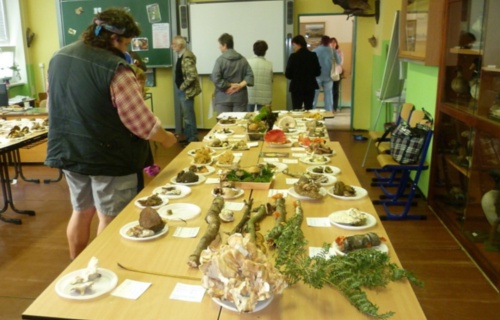 48tdylkcla_vystava-hub-ve-skole-20-21-9-2011_1