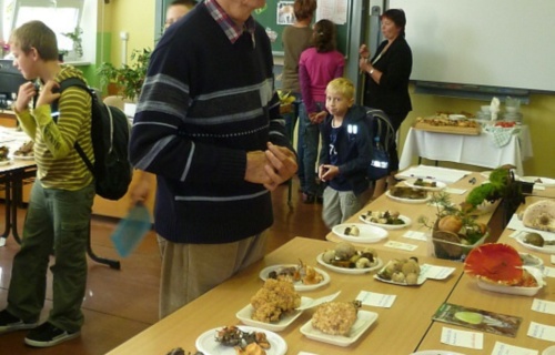 48tdylkcla_vystava-hub-ve-skole-20-21-9-2011_1