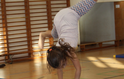 r70uykin9p_____IMG_8879