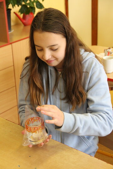 IMG_9411.JPG
