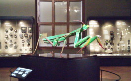 a2h6ovm86i_____IMG_20221214_102507