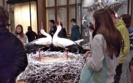 5l5onwb0js_____IMG_20230201_154245
