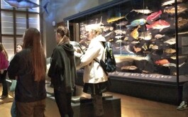 5l5onwb0js_____IMG_20230201_154245