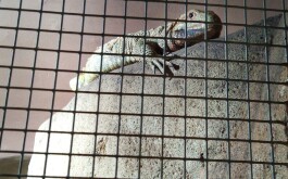 4xbtlnp6v6_____IMG_20230222_101536