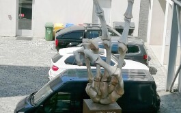 8u0pumzqwq_____IMG_20230525_103543