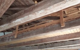 ap84wkbr2y_____IMG_20230602_113007
