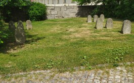 ap84wkbr2y_____IMG_20230602_113007