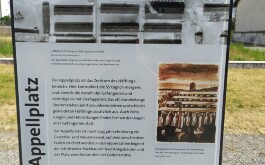 ap84wkbr2y_____IMG_20230602_113007