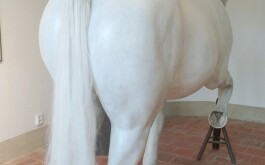 ap84wkbr2y_____IMG_20230602_113007