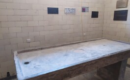 ap84wkbr2y_____IMG_20230602_113007