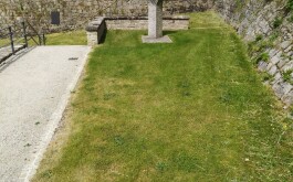 ap84wkbr2y_____IMG_20230602_113007