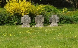 ap84wkbr2y_____IMG_20230602_113007