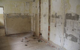 s3e1w598wl_____IMG_6465