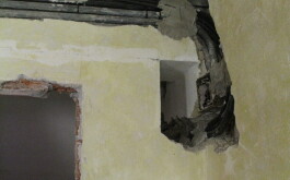 s3e1w598wl_____IMG_6465